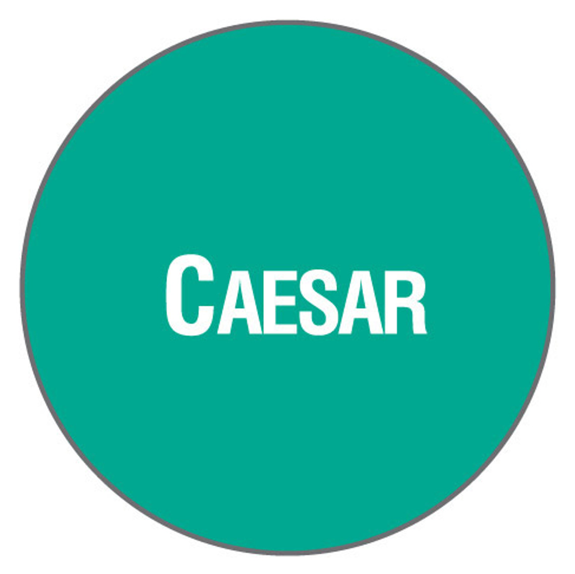 8010-Caesar - Caesar Dressing