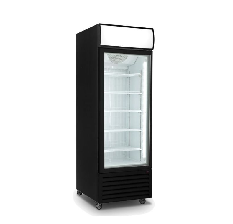 Thermaster 540L Single Glass Door Black Colourbond Upright Drink Fridge LG-540BP