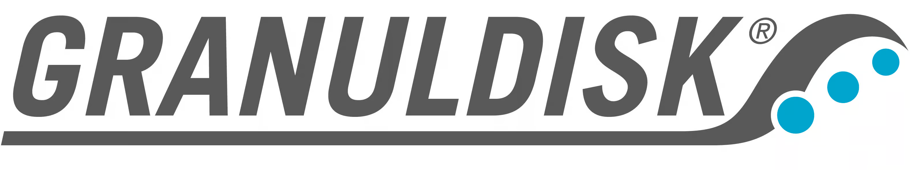 GRANULDISK
